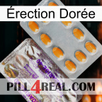 Érection Dorée new12